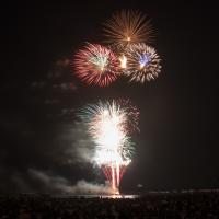 Fireworks by Matt Todd