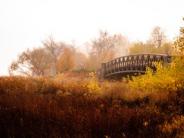 Picture:  Fall Bridge by James Schuder