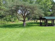 Picture of a tree and pavilion at Bossard Park