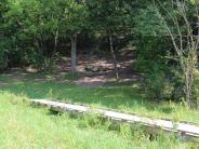 Image of boardwalk leading to disc golf tee