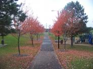 Image of paved park path