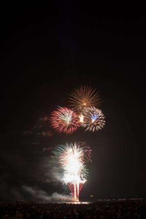 4th of July Fireworks by Matt Todd