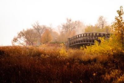 Fall Bridge by James Schuder